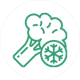 congelados-ico